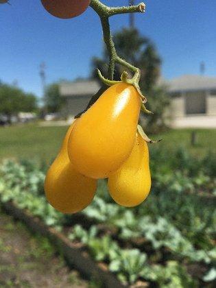 Sustainable Living Project