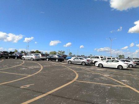Manheim Tampa