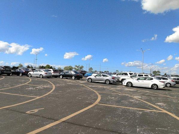 Manheim Tampa