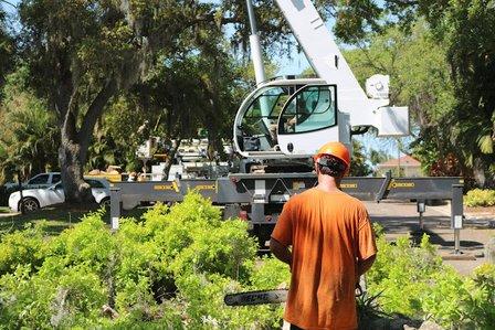 Royal Tree Services