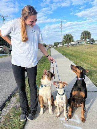 Advanced Canine Development, LLC. Puppy and Dog Trainer