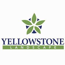 Yellowstone Landscape