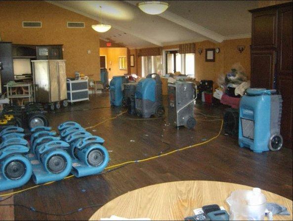 Expert Water Removal