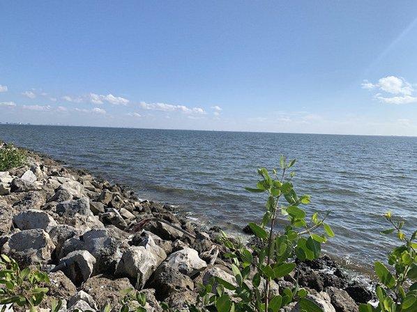 Courtney Campbell Causeway Trail