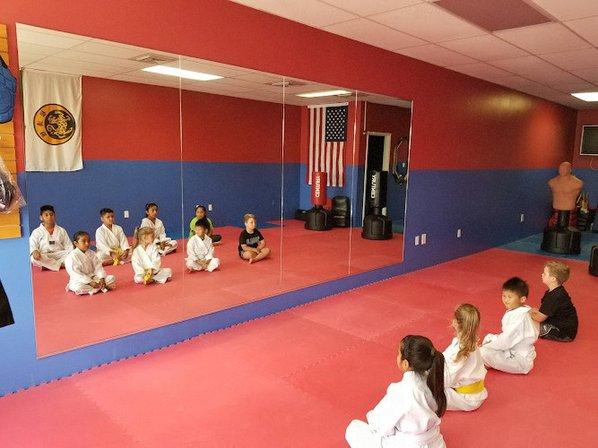 Budokan Karate USA