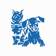 Companion Animal Hospital