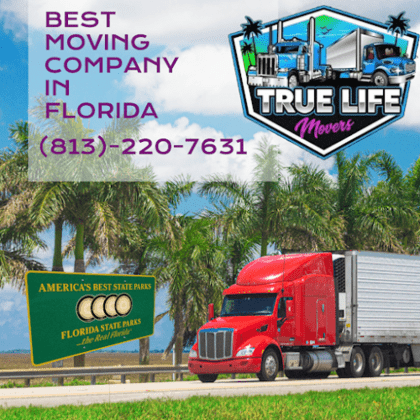 True Life Movers