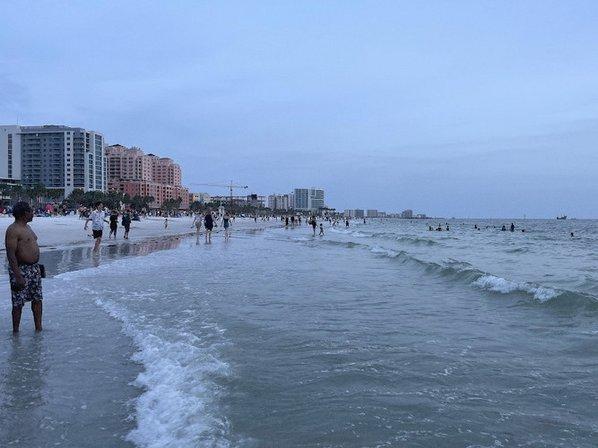 SunBeachSalties