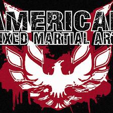 American Mixed Martial Arts