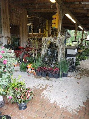Laurel Oaks Nursery & Tree Farm