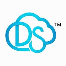 Digital South Communications - Tampa