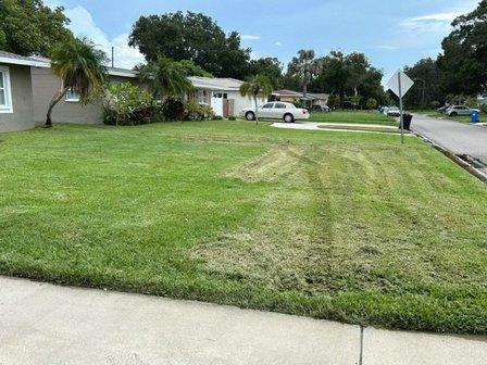 Lush Yard Lawn Care