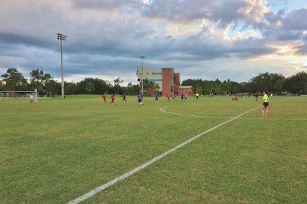 Fowler Fields