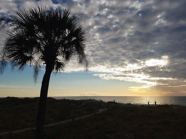 Beach Yoga Wellness-Indian Rocks Beach