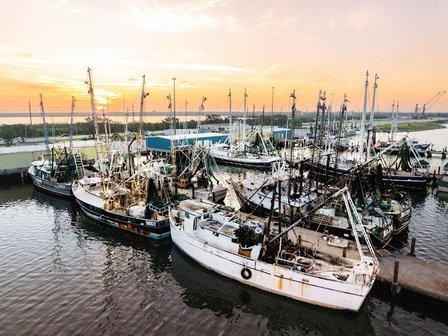 Superior Seafoods Inc