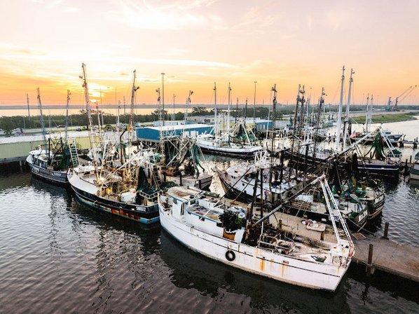 Superior Seafoods Inc
