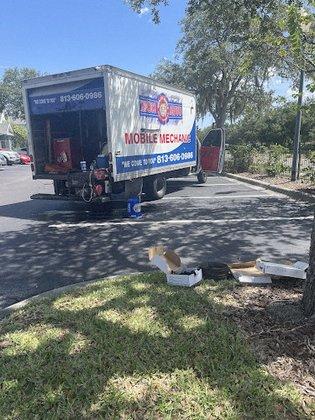 Mobile Mechanic Zion Auto Repair LLC