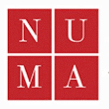 Salomon Numa - Immigration Lawyer Tampa