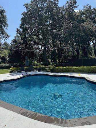 Chinchillin Pool Service -Tampa