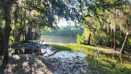 Al Lopez Park Facilities shelter 308