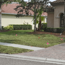 Felix And Son Sod Inc.
