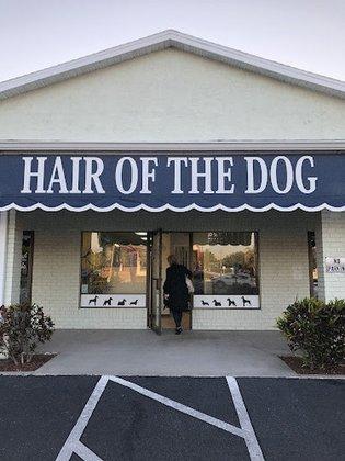 Hair of the Dog