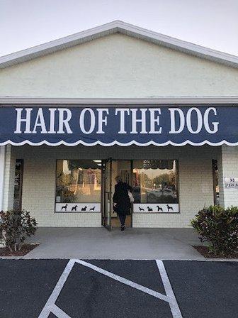 Hair of the Dog