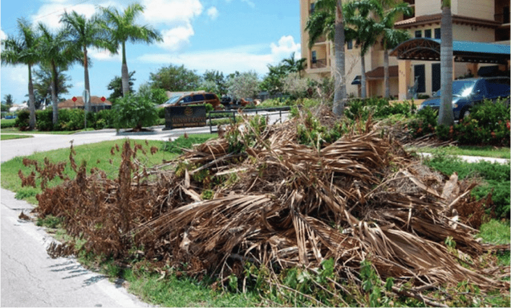 Veransa Group, Clearwater
