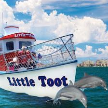 Little Toot Dolphin Adventure - #1 Dolphin Tour in the USA!