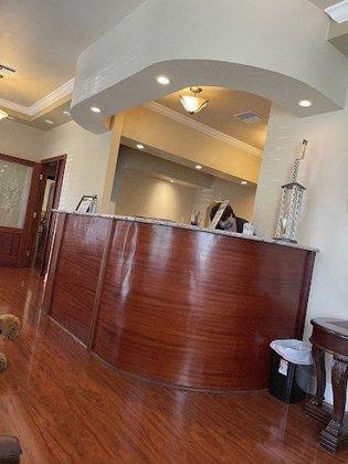 Stein Dental Group