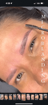 Brows Beauty Lash Tampa