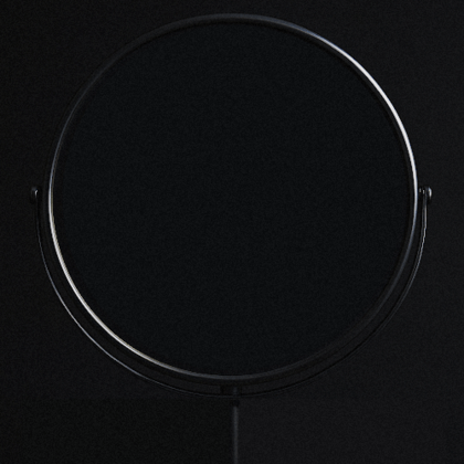 Mirror Vision LLC