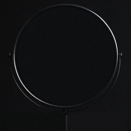 Mirror Vision LLC