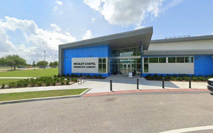 Tampa dog trainers