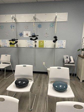 Seagate Chiropractic Carrollwood