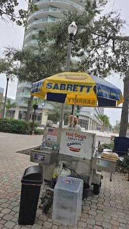 Cathy's Cart