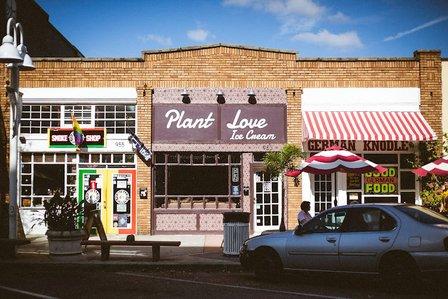 Plant Love Ice Cream