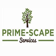 Prime-Scape Services, Inc.