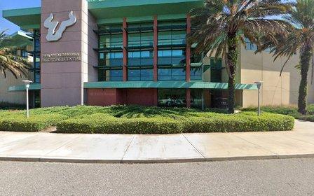 South Florida Bulls
