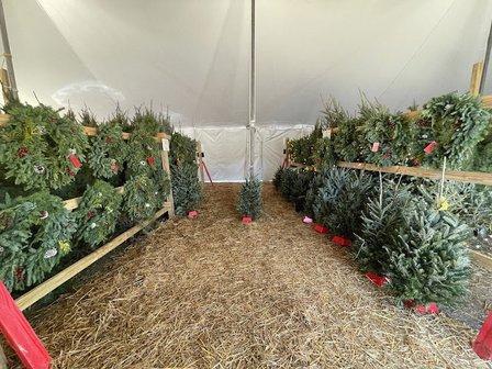 Nativity Christmas Store - Fresh Christmas Tree & Wreath Sale