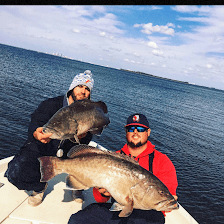 Sunstate fishing charters