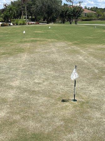 Stonegate Golf Club at Solivita