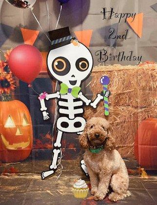 The Sweet Life of a Toy Poodle
