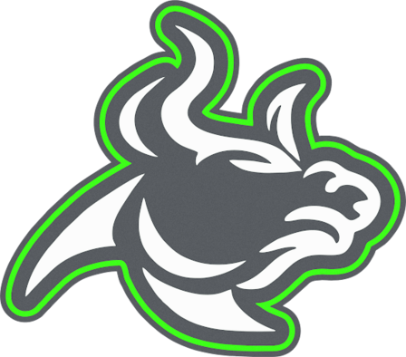 Tampa Bulls