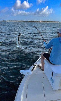The Saltwater Hook Up Fishing Charters - Tampa Fishing Charters