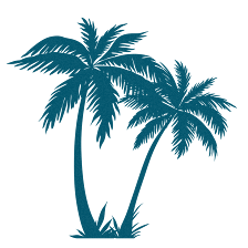 Palm Island Creative
