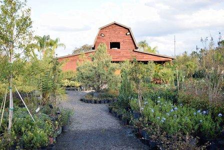 The Gardens Nursery and Rock Yard