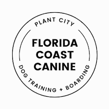 Florida Coast Canine