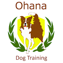 ohana dog training