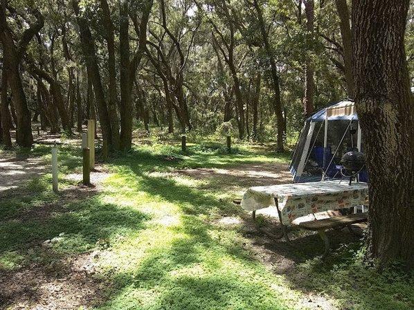Medard Park/ Hillsborough County Parks